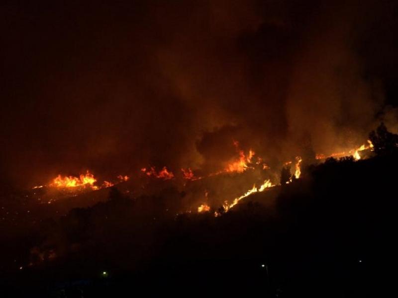 Σε συναγερμό η πυροσβεστική στην Εύβοια - Τρεις πυρκαγιές μέσα σε λίγη ώρα