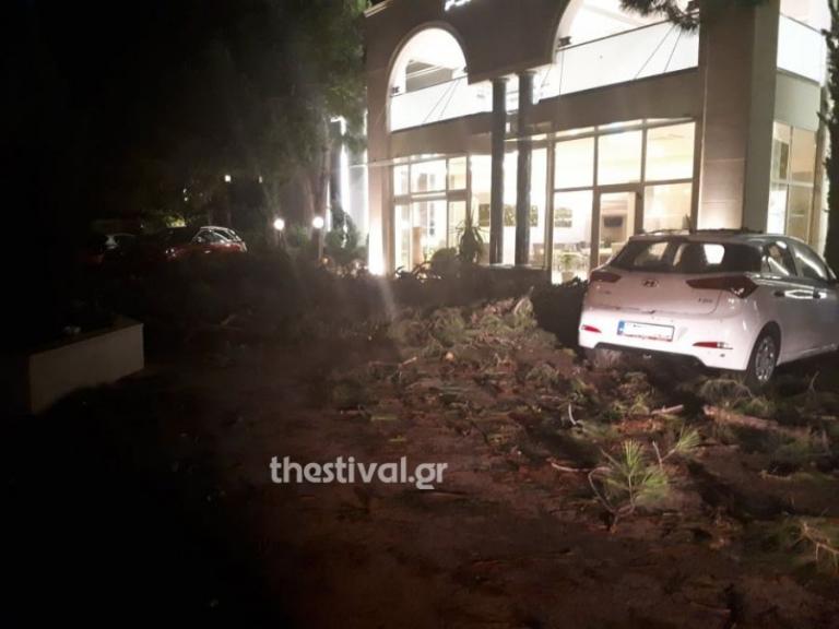 Χαλκιδική : Εδώ έχασαν τη ζωή τους ο πατέρας με το ανήλικο παιδί του (εικόνες)