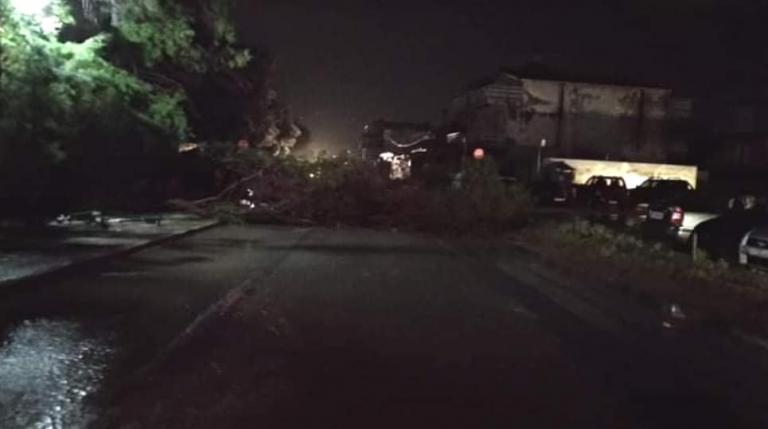 Φονική κακοκαιρία στη Χαλκιδική – Πάνω από 600 κλήσεις δέχθηκε η Πυροσβεστική