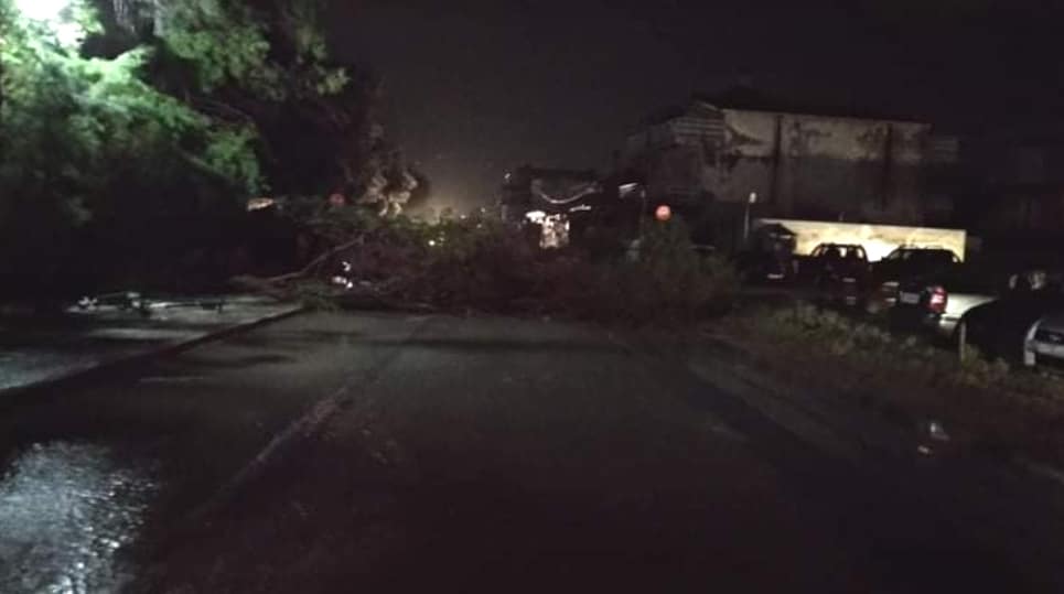 Φονική κακοκαιρία στη Χαλκιδική – Πάνω από 600 κλήσεις δέχθηκε η Πυροσβεστική