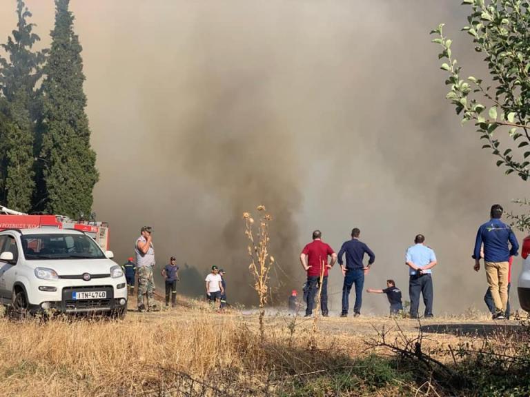 Φωτιά στη Φθιώτιδα: Υπό έλεγχο το πύρινο μέτωπο
