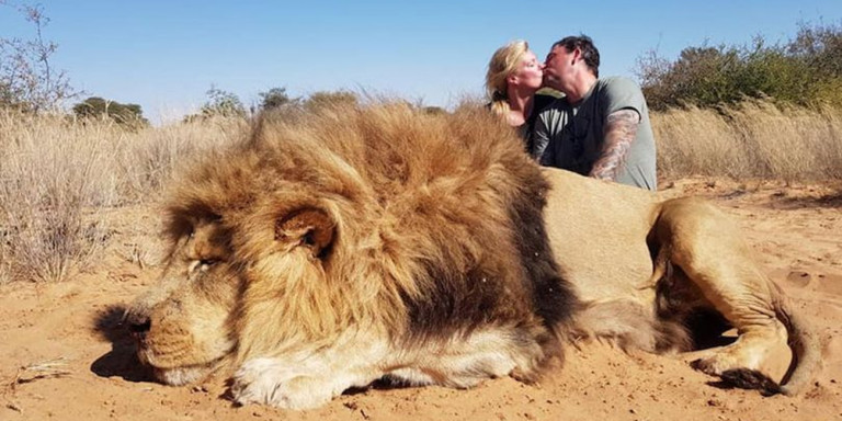 Απίστευτη κτηνωδία: Σκότωσαν λιοντάρι και φωτογραφίζονταν με το πτώμα του