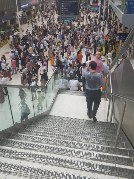 Σκύλος με το αφεντικό του προκαλούν το απόλυτο χάος στο Λονδίνο