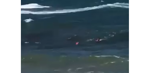 Ναυαγοσώστης σώζει τουρίστρια από μανιασμένα κύματα