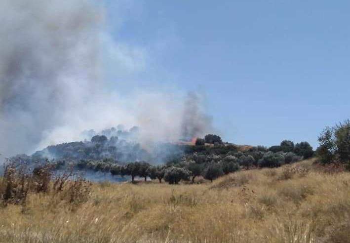 Συναγερμός στην Πυροσβεστική: Εκκενώθηκε οικισμός στα Μέγαρα - Μεγάλη φωτιά στο Μαρκόπουλο