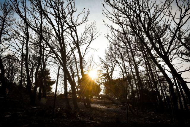 Editorial Ta Nea: Duty