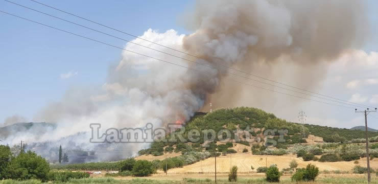 Μεγάλη φωτιά στη Φθιώτιδα – Ενισχύονται οι πυροσβεστικές δυνάμεις