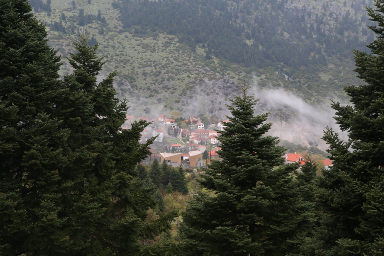 Παρνασσός: Επιχείρηση εκκένωσης κατασκηνώσεων μέσα στη νύχτα