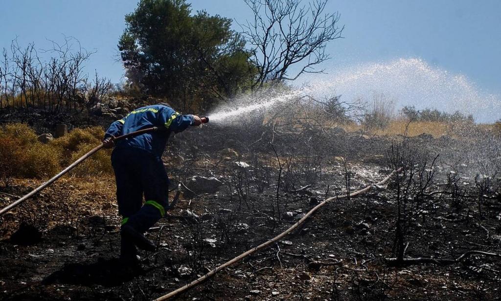 Υπό έλεγχο η φωτιά στη Φυλή