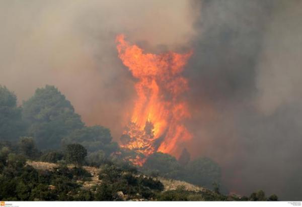 Πολύ υψηλός κίνδυνος πυρκαγιάς σήμερα για Αττική και Στερεά Ελλάδα