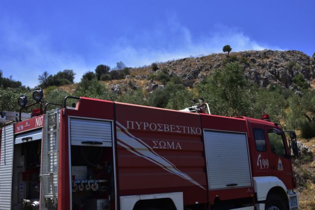 Υπό μερικό έλεγχο η πυρκαγιά στην Εύβοια