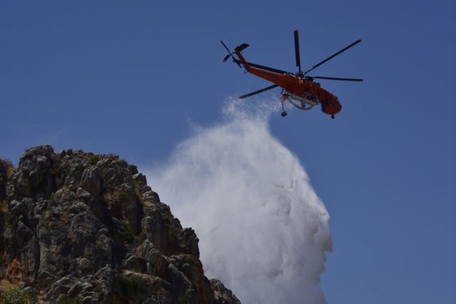 Υπό έλεγχο η φωτιά στο Μαρτίνο Φθιώτιδας