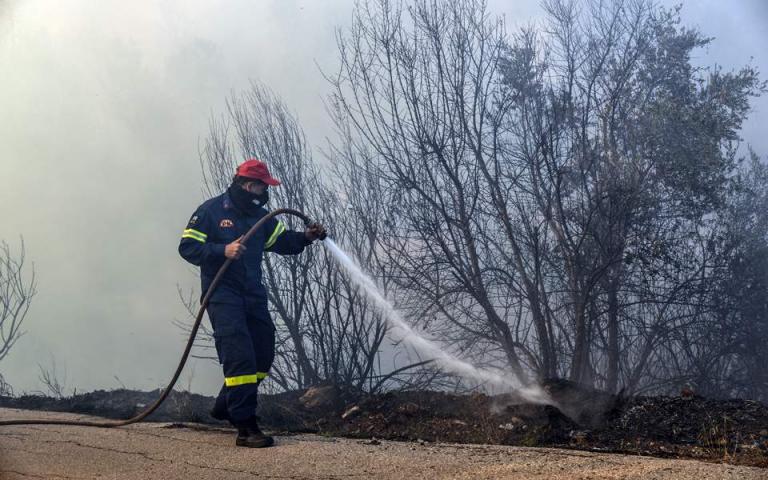 Φωτιά σε χαμηλή βλάστηση στο Πέραμα