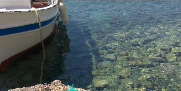 Κτηνωδία στη Σύρο: Πέταξαν κουτάβια μέσα σε σακούλα στη θάλασσα