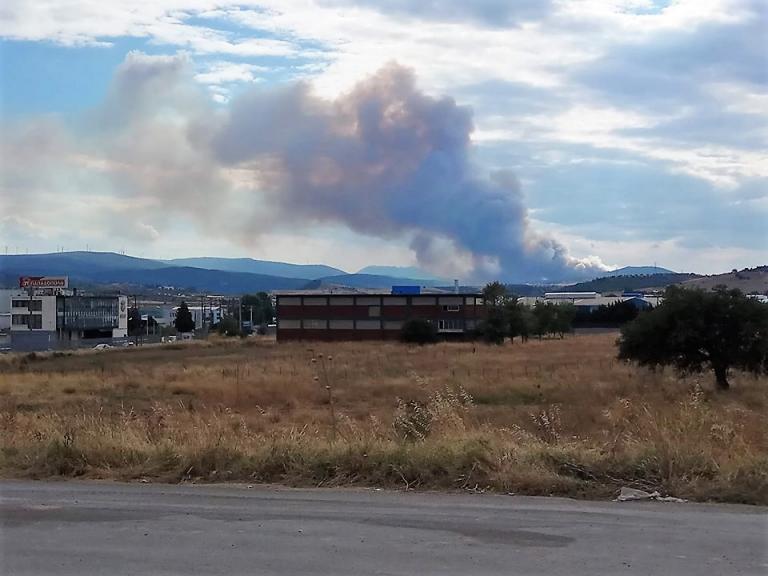 Φωτιά στην Τανάγρα: Ενισχύθηκαν οι πυροσβεστικές δυνάμεις – Εκκενώθηκε μοναστήρι