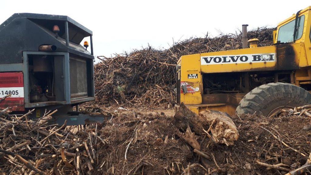 Οικόπεδο – βόμβα στο Μάτι με 20 χιλ. τόνους ξύλων (εικόνες)