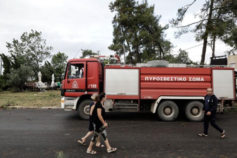 Χαλκιδική: Απαγόρευση κυκλοφορίας σε 5 περιοχές, λόγω υψηλού κινδύνου πυρκαγιάς
