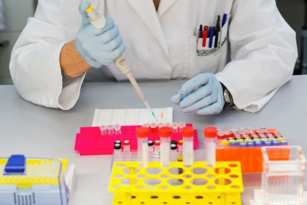 Βλαστοκύτταρα: Δώρο ζωής – Τα ηθικά και νομικά διλήμματα που εγείρει η χρήση τους