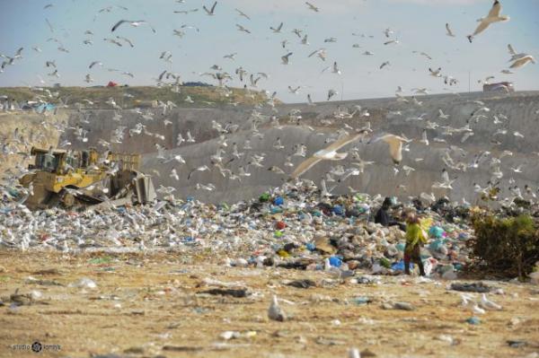 Μήνυση Πατούλη κατά Δούρου για τη διαχείριση των σκουπιδιών