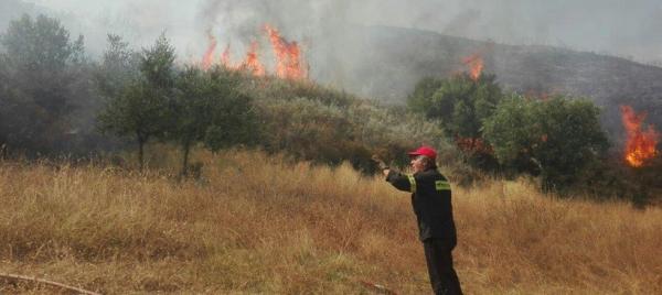 Φωτιά σε εξέλιξη στη Ζάκυνθο