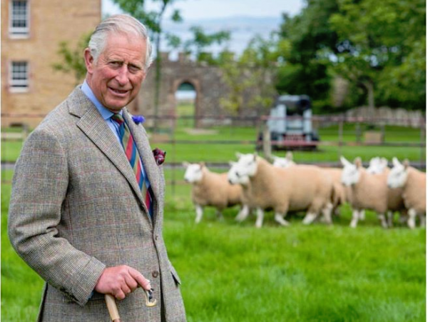 Δέκα χρόνια κλείνει η Εκστρατεία του πρίγκιπα Κάρολου για το Μαλλί