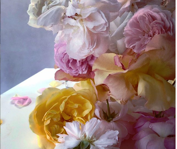 Έκθεση φωτογραφιών αφιερωμένη στα τριαντάφυλλα