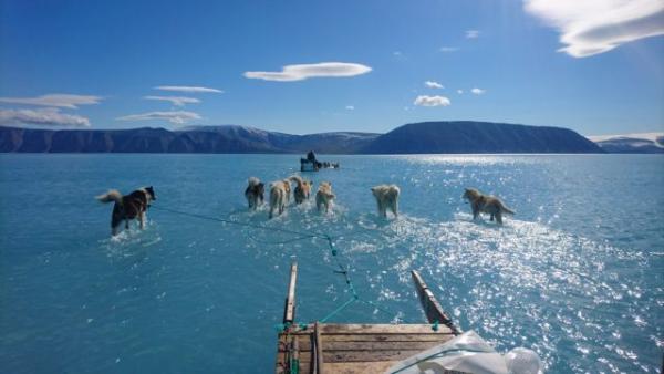 Παγκόσμια ανησυχία: Ο ευρωπαϊκός καύσωνας κατευθύνεται στη Γροιλανδία