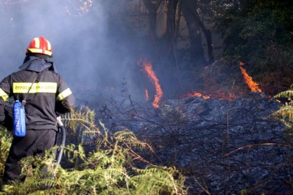 Πυρκαγιά στην Εύβοια – Συναγερμός στη Πυροσβεστική