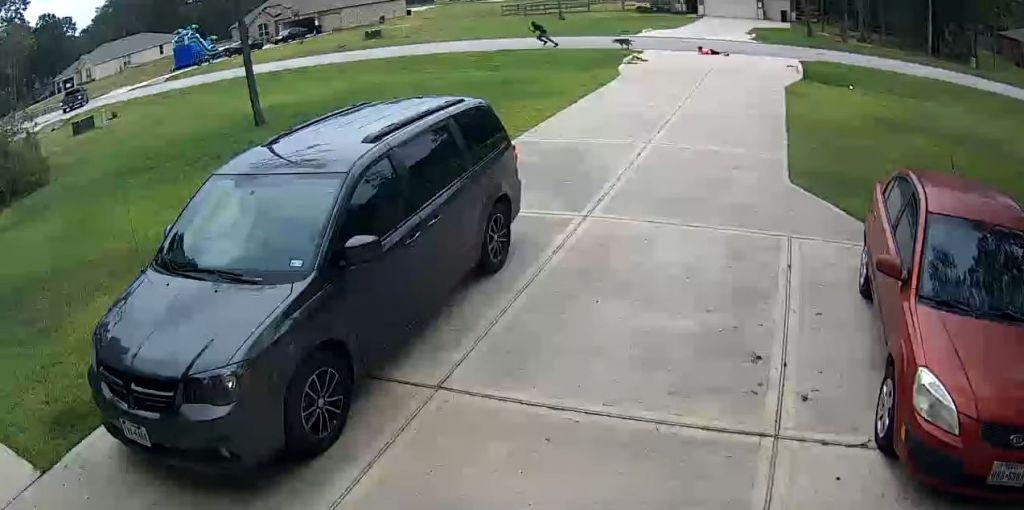 Βίντεο – σοκ: 19χρονος ήρωας σώζει 6χρονο από τα δόντια ενός πίτμπουλ