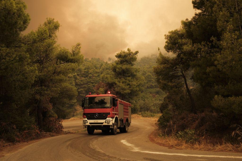 Στοιχεία-σοκ για φωτιές: To προφίλ του εμπρηστή δάσους στην Ελλάδα