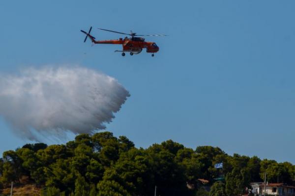 Φωτιά σε Θεσπρωτία και Κιλκίς