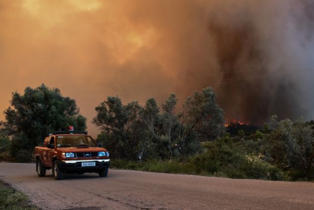 Μεγάλη φωτιά στον Μαραθώνα κοντά σε κατοικημένη περιοχή – Πολλαπλασιάζονται οι δυνάμεις