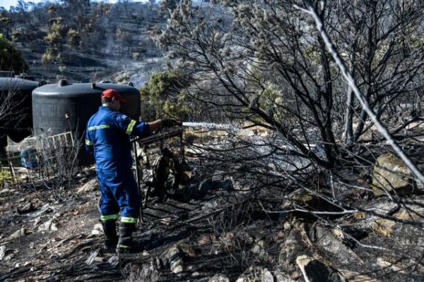 Δήμαρχος Παιανίας: Δεν αποκλείεται το ενδεχόμενο εμπρησμού