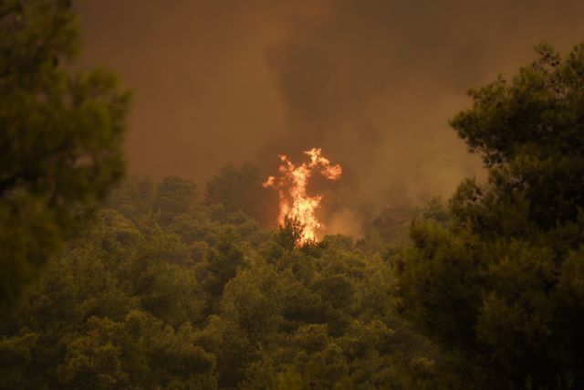 Παρέμβαση ΕΕ για τη φωτιά στην Εύβοια: Κινητοποιούμε άμεσα τα μέσα μας