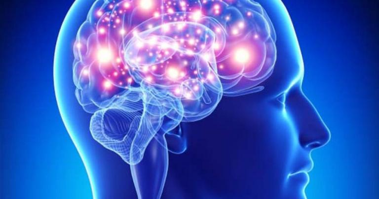 Έλληνες επιστήμονες ανατρέπουν την υπάρχουσα θεωρία για τα εγκεφαλικά κύτταρα