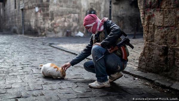 Και οι γάτες έχουν ψυχή στη Συρία