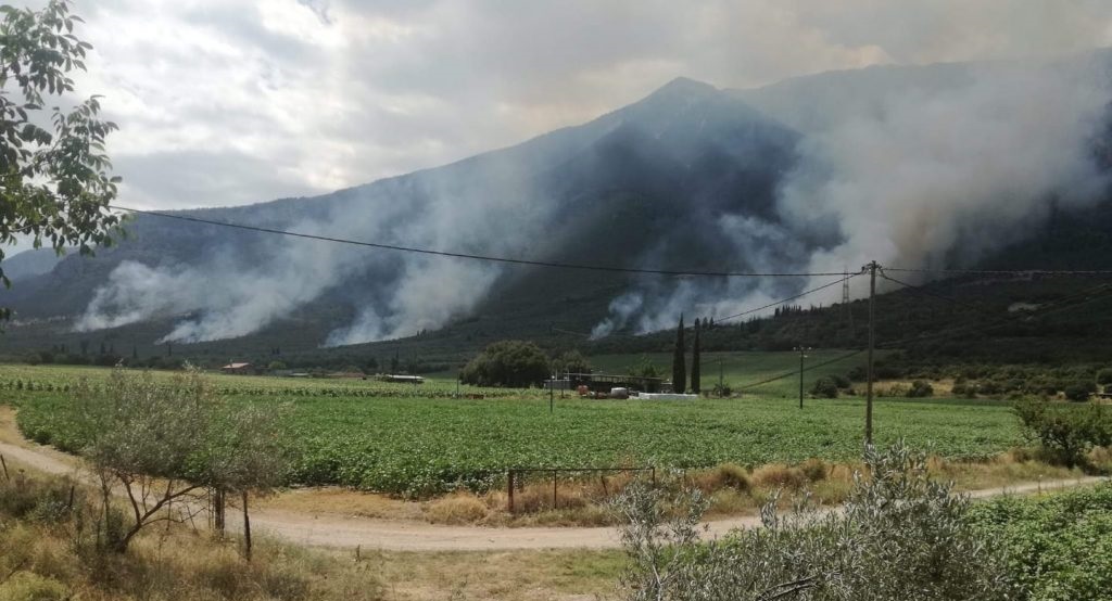 Πυρκαγιά στην Τιθορέα: Ενισχύονται οι δυνάμεις της Πυροσβεστικής - Υποψίες για εμπρησμό