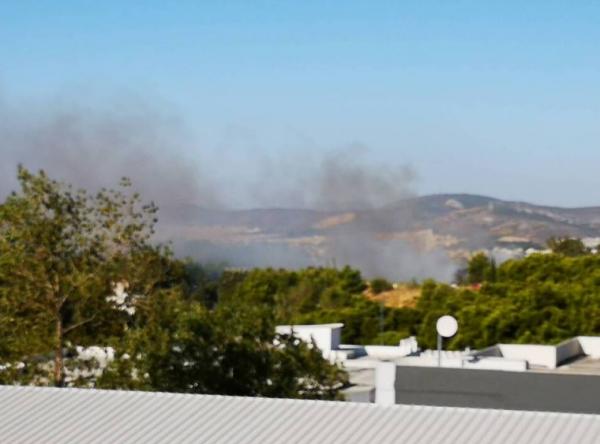 Υπό μερικό έλεγχο η πυρκαγιά στη Λυκόβρυση
