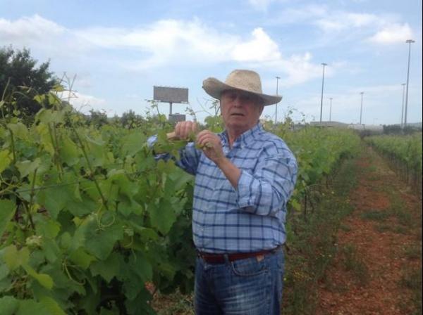 Δείτε τον κούκλο εγγονό του Νίκου Ξανθόπουλου