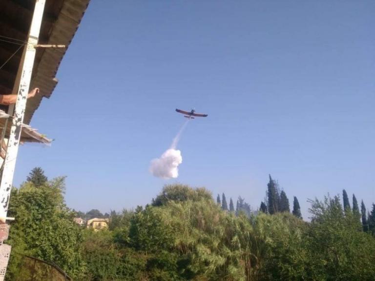 Νέα πύρινα μέτωπα σε Βοιωτία και Κέρκυρα