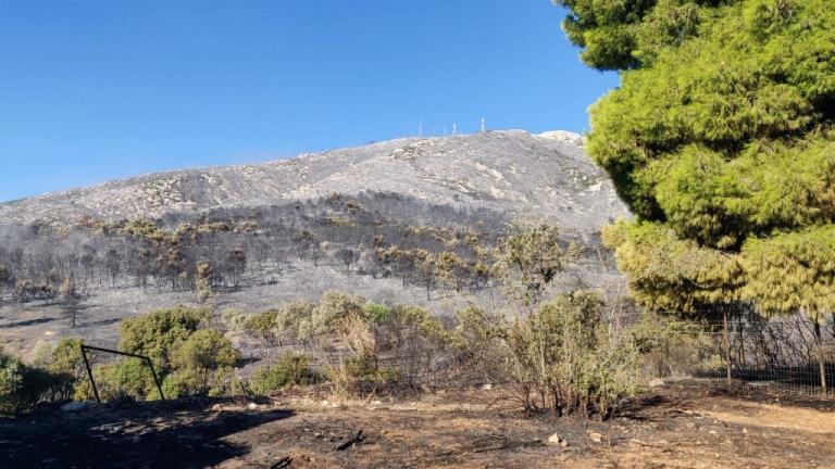 Υμηττός: Αυτό είναι το σημείο από όπου ξεκίνησε η φωτιά