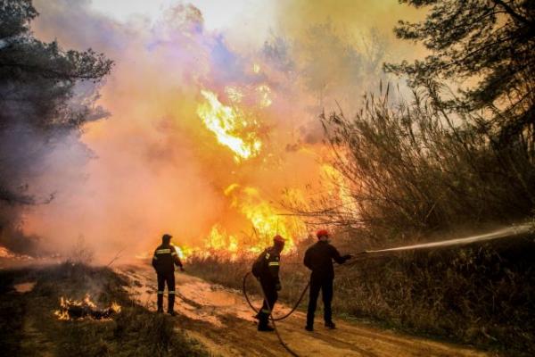 Μαρτυρία κατοίκου: Ενημερωθήκαμε με ντουντούκες