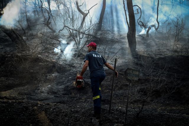 Πυρκαγιά στην Εύβοια: Διασώθηκε η περιοχή Natura