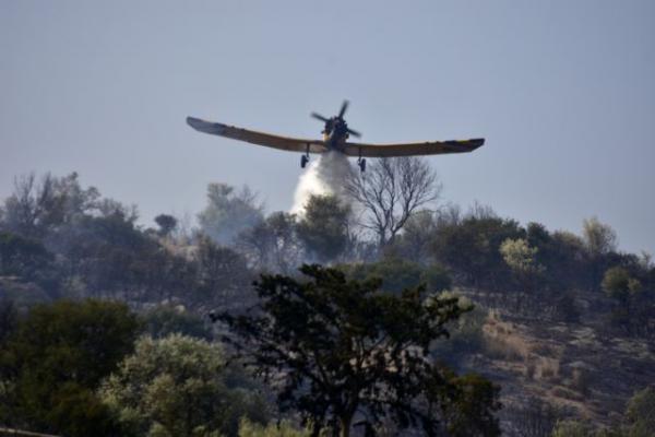 Διαστάσεις έχει λάβει η πυρκαγιά στην Αρχαία Ολυμπία – Στάχτη 70 στρέμματα δάσους
