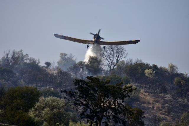 Διαστάσεις έχει λάβει η πυρκαγιά στην Αρχαία Ολυμπία - Στάχτη 70 στρέμματα δάσους
