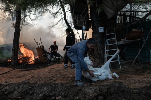 Αντιμέτωποι με την καταστροφή οι κάτοικοι του χωριού Μακρυμάλλη