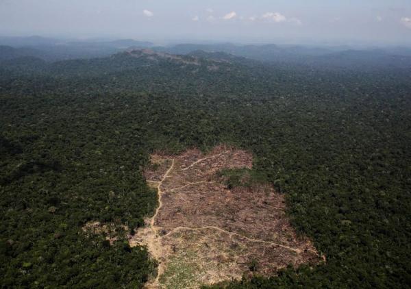 Βραζιλία: Τετραπλάσια η αποψίλωση των δασών της Αμαζονίας τον Ιούλιο σε σχέση με το 2018
