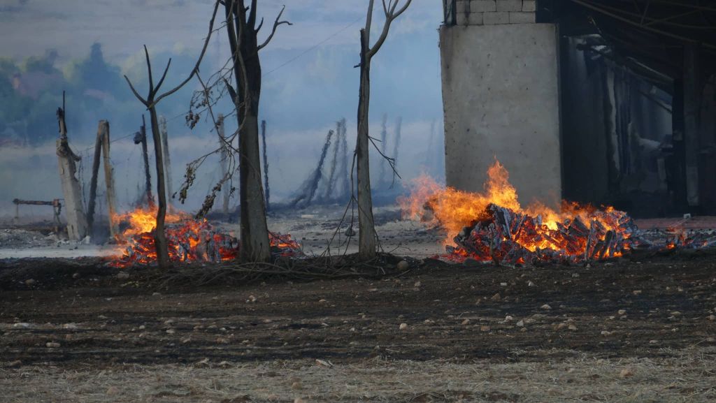 Κάηκε εργοστάσιο από πυρκαγιά σε χαμηλή βλάστηση στη Λάρισα [εικόνες]