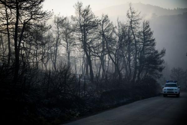ΚΚΕ: Έλλειψη ολοκληρωμένης διαχείρισης και προστασίας των δασών