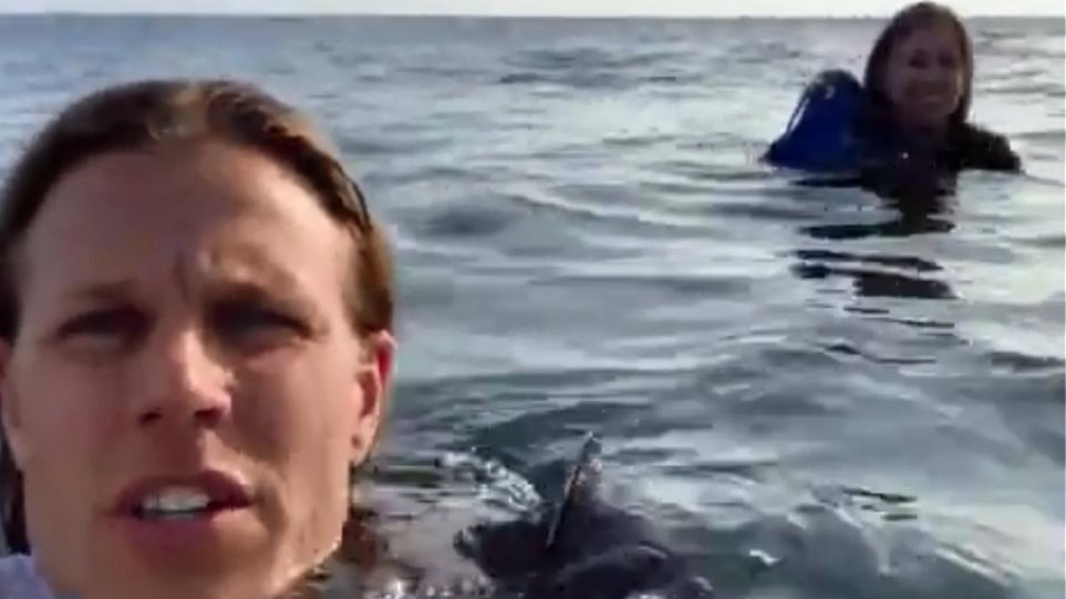 Απίστευτο βίντεο: Το αεροπλάνο τους έπεσε στη θάλασσα και βιντεοσκόπησαν τη διάσωσή τους